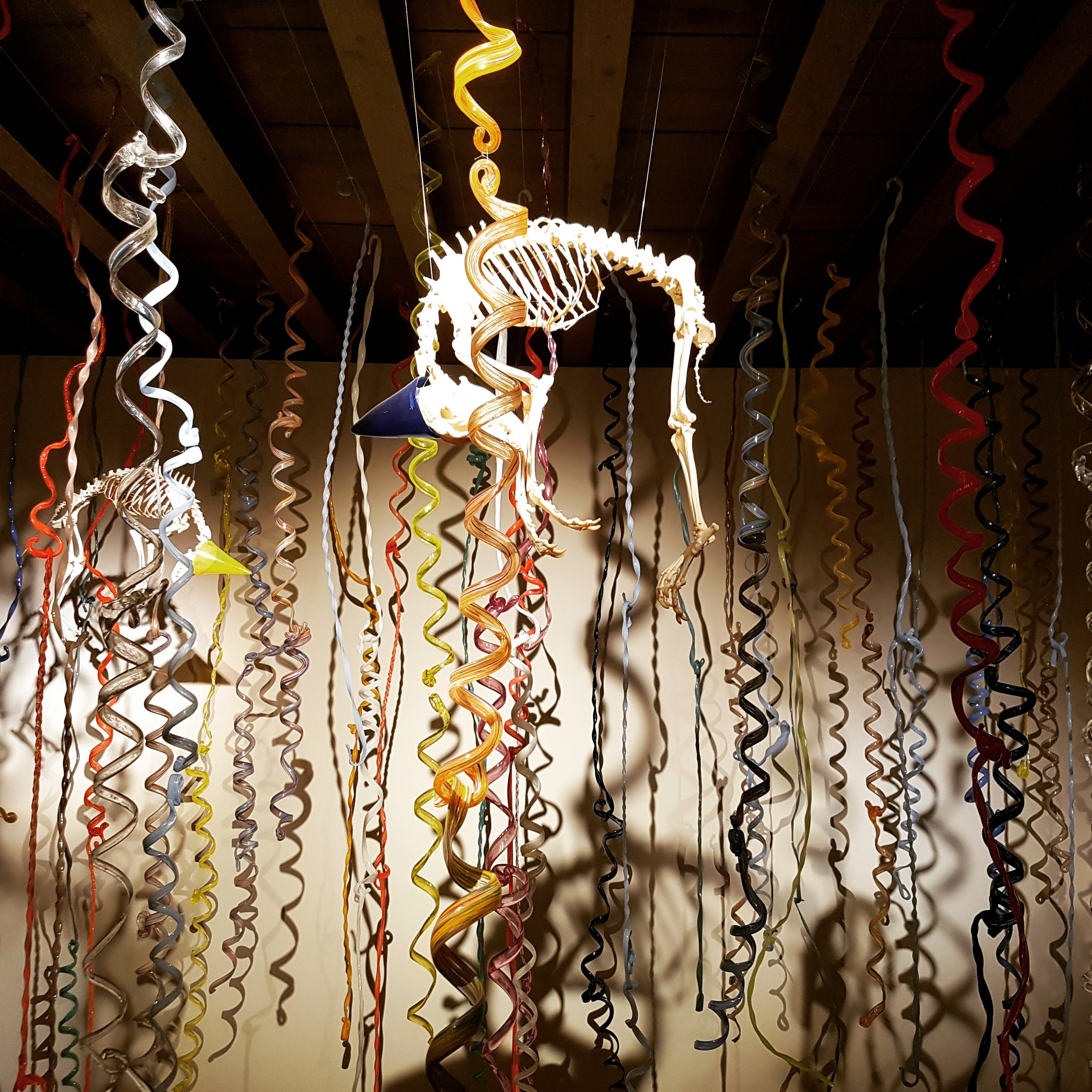 Rachel Cockett Consulting